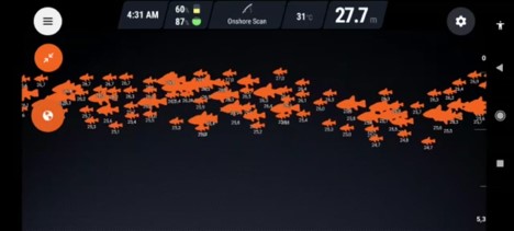 ProjectPage1.additionalImageCaption